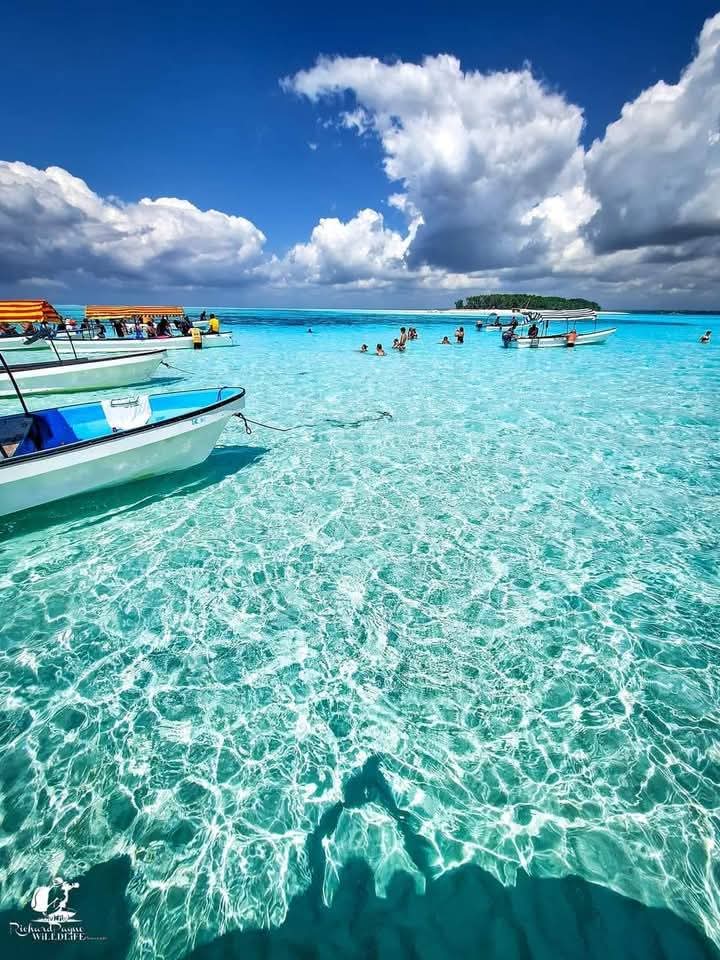 whatsapp image 2025 09 29 at 23.38.25 (1)