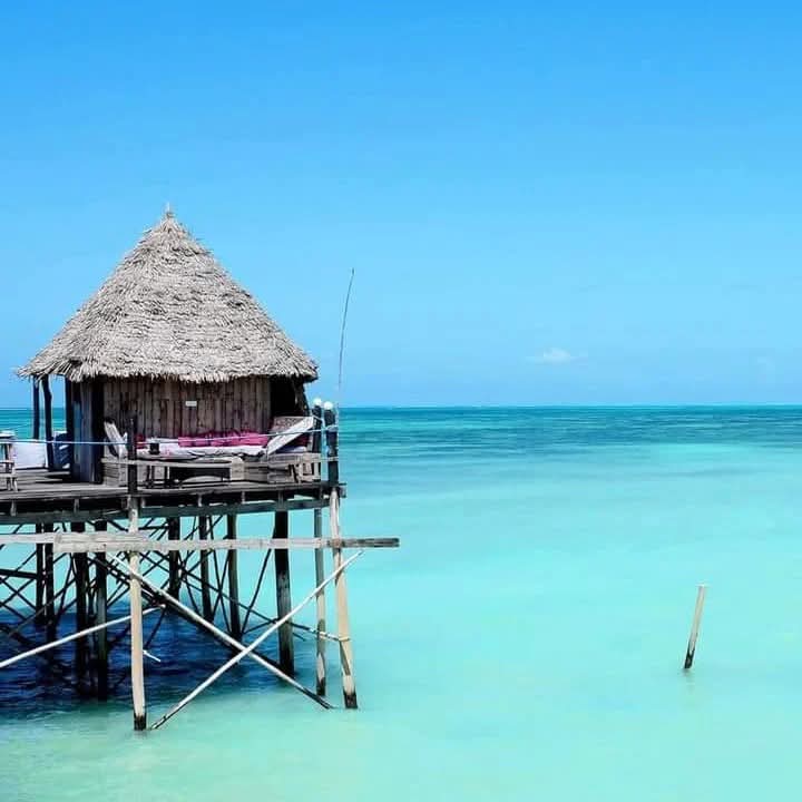 whatsapp image 2025 09 29 at 23.38.28 (3)